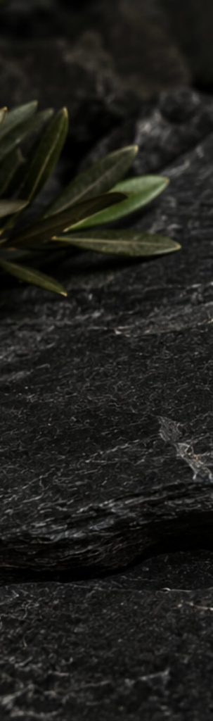 Palette Noir minéral de Serenity.NDÄP